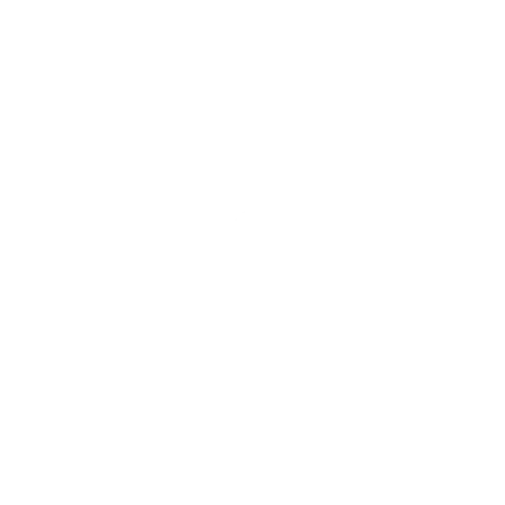 Netcup Logo — Newmountains.IT als Partner für Hosting und Server aus Nürnberg und Wien